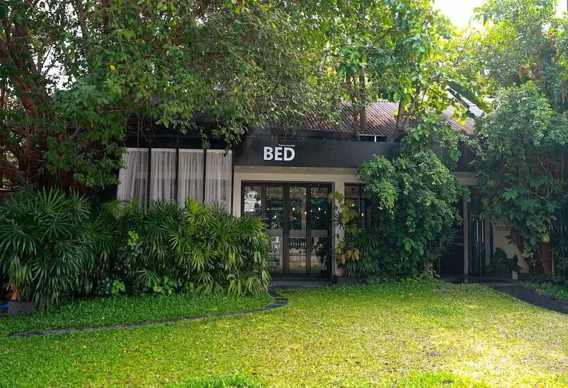 Bed Phrasinghadults Only