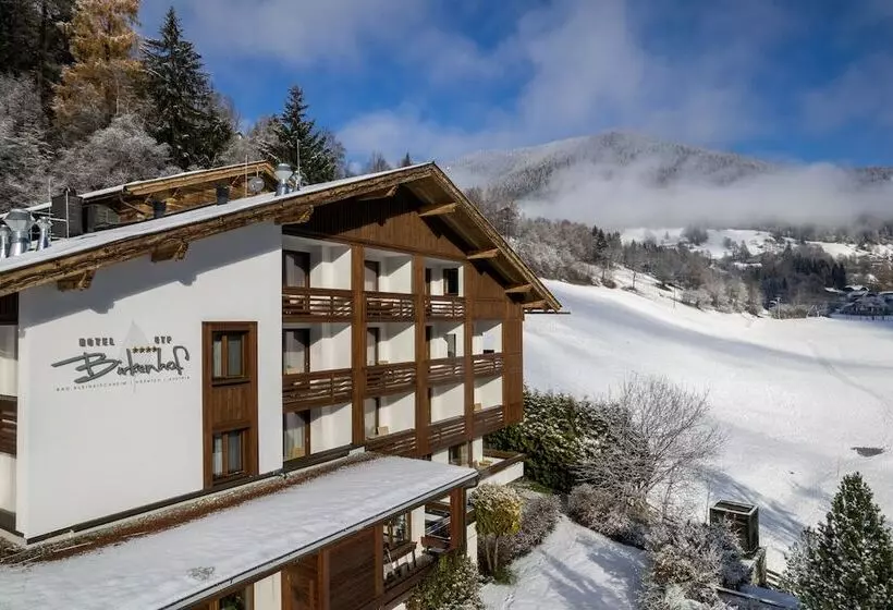 Fotos del hotel Otp Birkenhof:  19