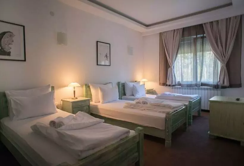 Fotos del hotel Trim:  22