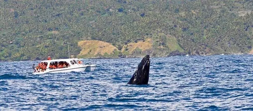 Fotos del hotel Aluge:  9