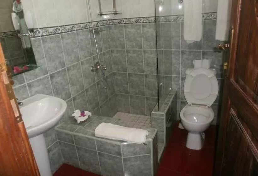 Fotos del hotel Asmini Palace:  16