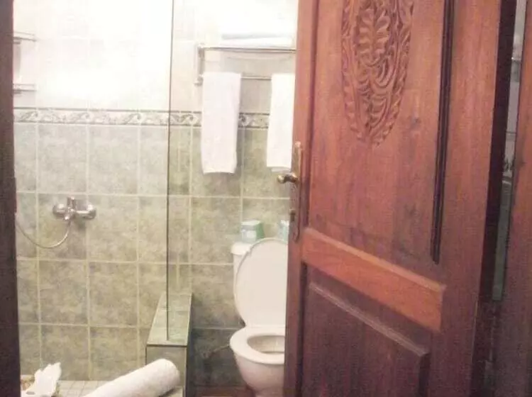 Fotos del hotel Asmini Palace:  14