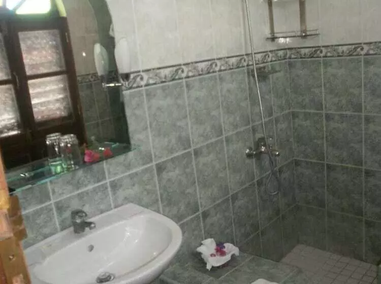 Fotos del hotel Asmini Palace:  18