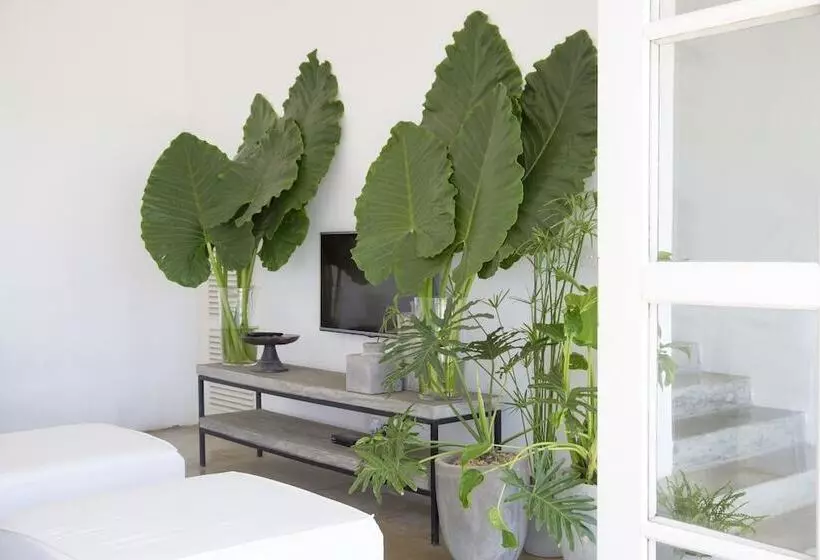 Fotos del hotel Arabella On Boossa:  7