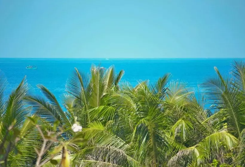 Fotos del hotel Coral Bay Resort:  16