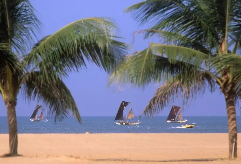 Fotos del hotel Olanro Negombo:  12