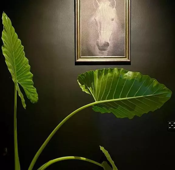 Fotos del hotel Olanro Negombo:  3