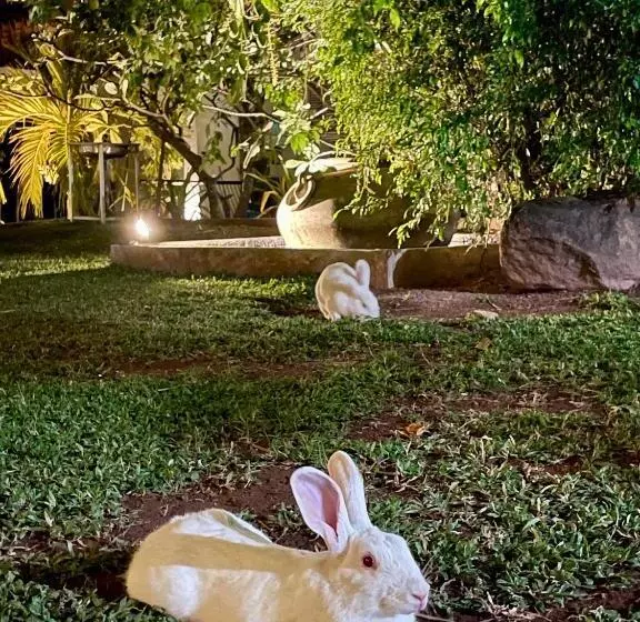 Fotos del hotel Olanro Negombo:  7