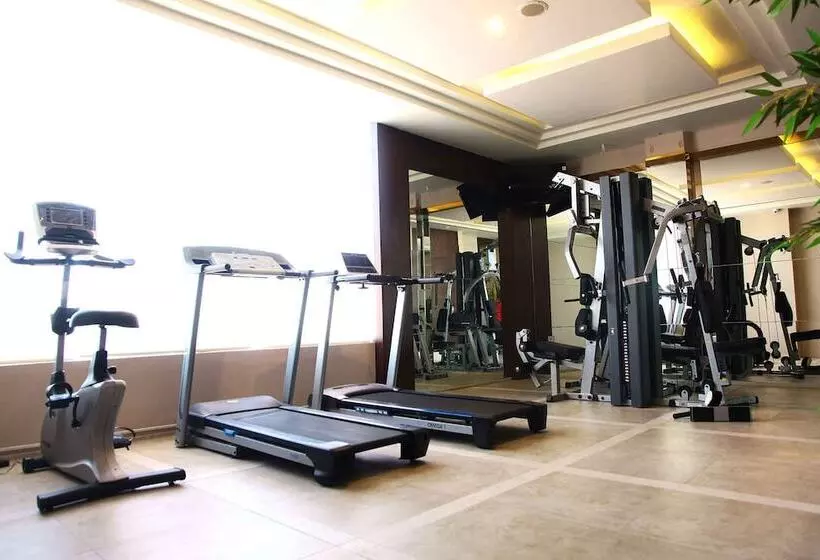 Fotos del hotel Aswin:  4