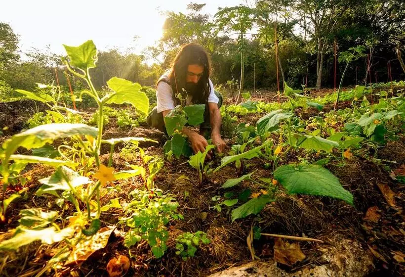 Fotos del hotel Buzios Espiritualidade Resort Caravelas:  23