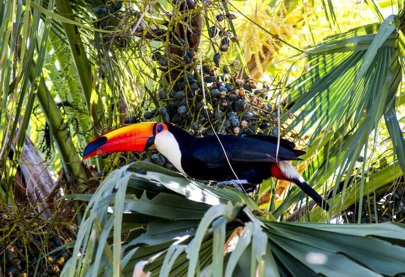 Fotos del hotel Buzios Espiritualidade Resort Caravelas:  19