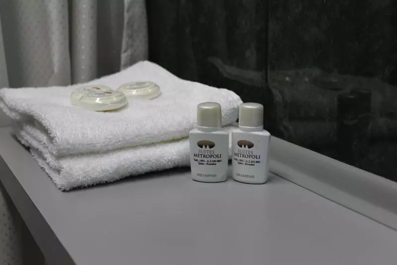 Fotos del hotel Suites Metropoli:  3