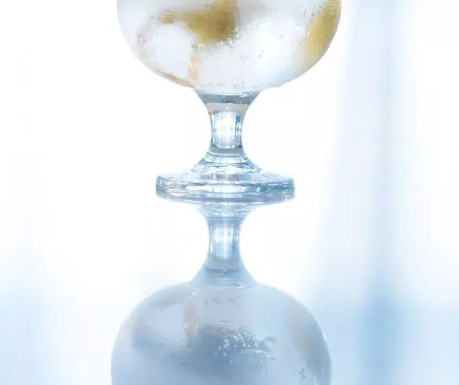 Fotos del hotel Ac  Queretaro Antea:  13