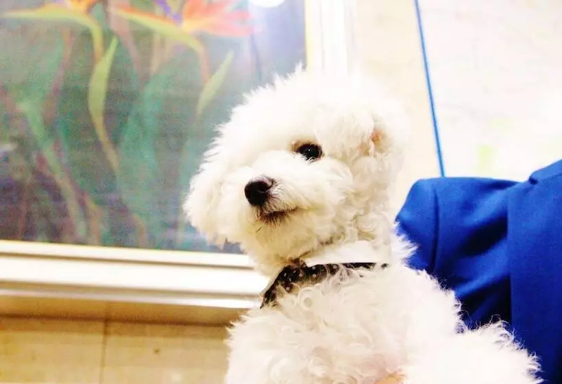 Fotos del hotel Ann Tsukiji:  5