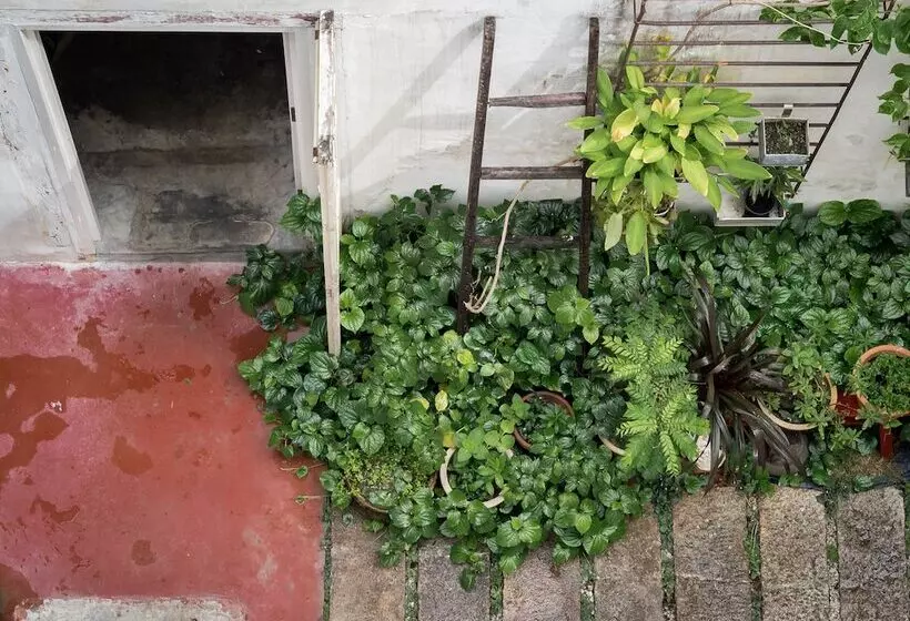 Fotos del hotel Ren I Tang Heritage Inn:  7