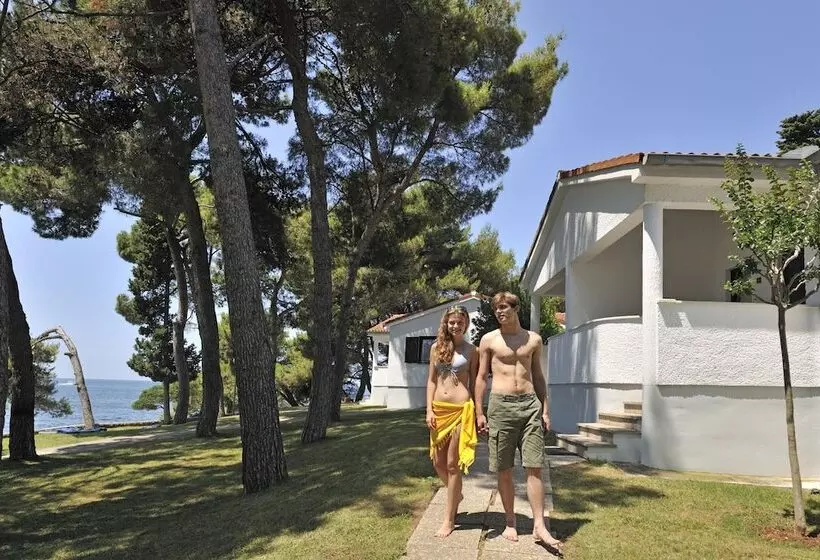 Fotos del hotel Villa Galijot Plava Laguna:  19