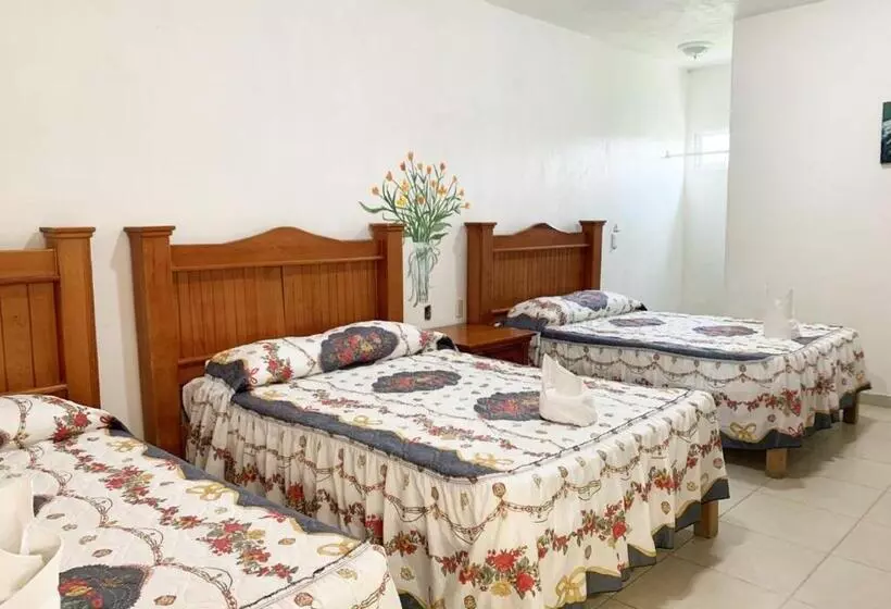 Fotos del hotel Quinta de La Rosa by DOT Light:  14