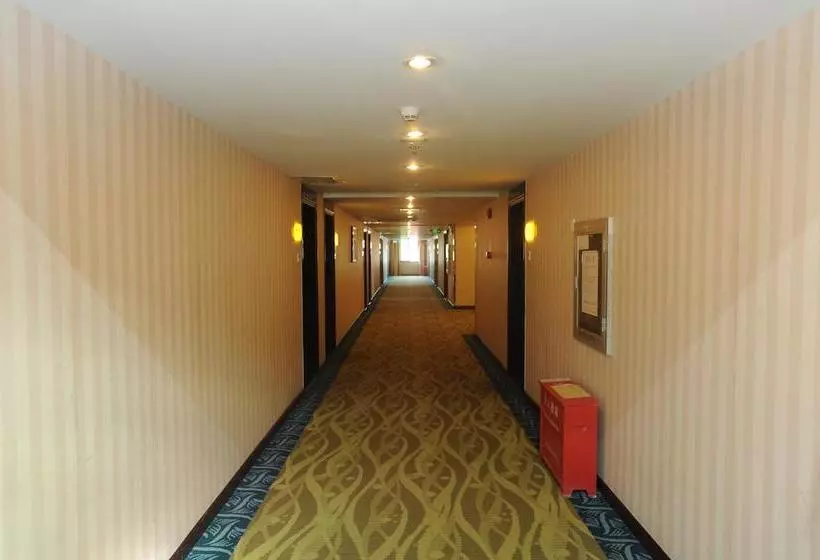 Fotos del hotel Shenzhen Grand Meisha:  14