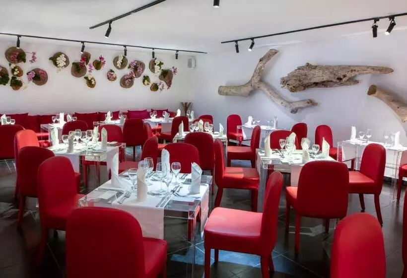 Fotos del hotel Viva Wyndham V Samana  Adults Only  All Inclusive:  3