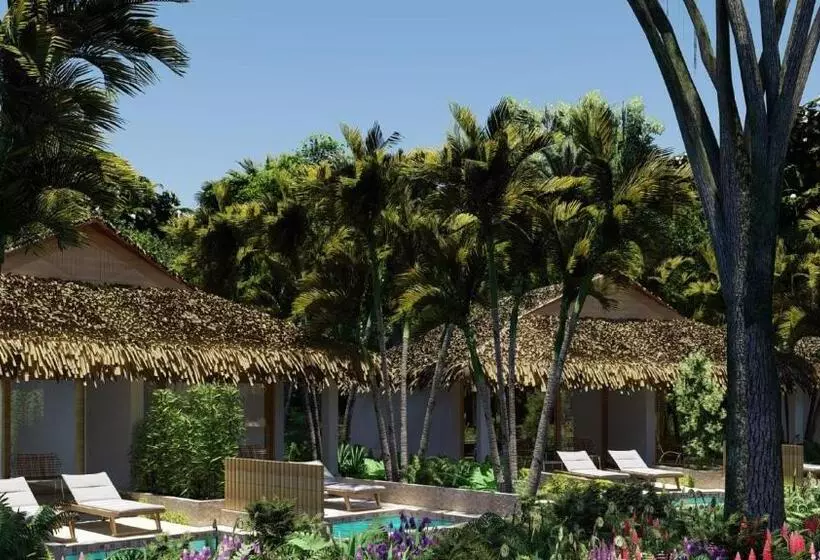 Fotos del hotel Viva Wyndham V Samana  Adults Only  All Inclusive:  24