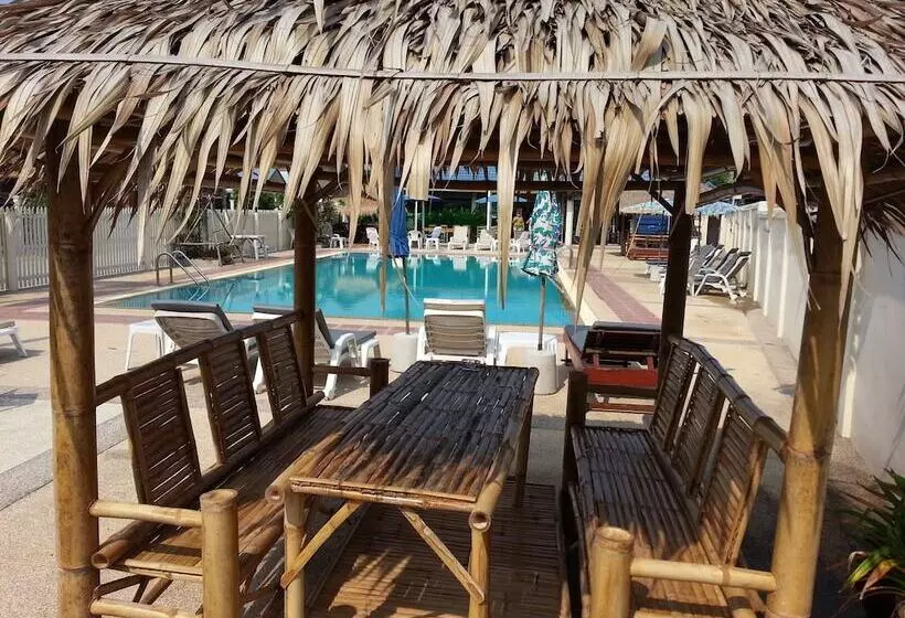 Fotos del hotel Donkey S Rest:  5