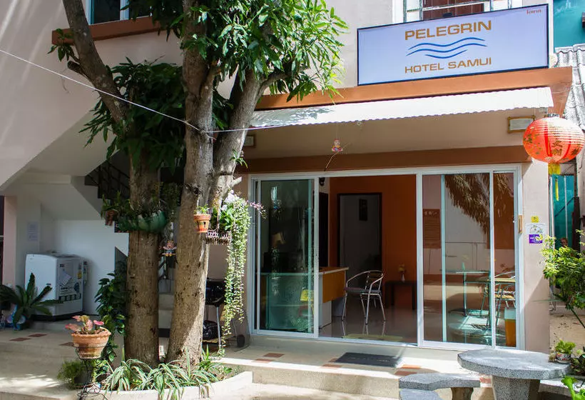 Fotos del hotel Pelegrin Hotel Samui:  20