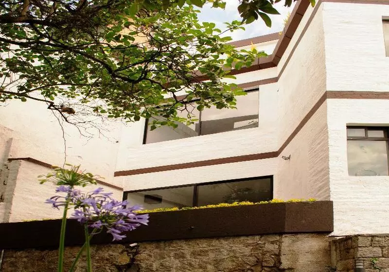 Fotos del hotel Ventanal De Bellavista:  20