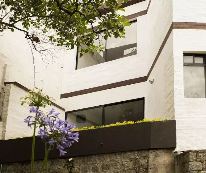 Fotos del hotel Ventanal De Bellavista:  14