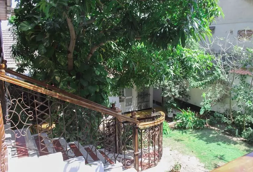 Fotos del hotel Casa Colonial:  22