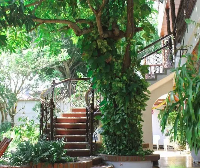 Fotos del hotel Casa Colonial:  20