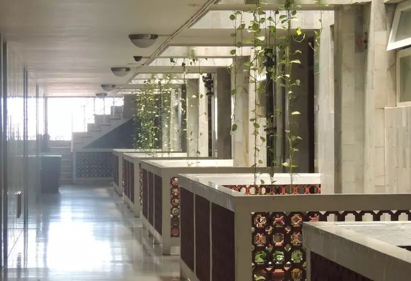 Fotos del hotel Central:  8