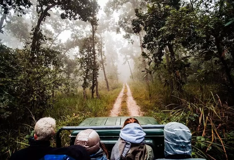 Fotos del hotel Sauraha Nana:  12