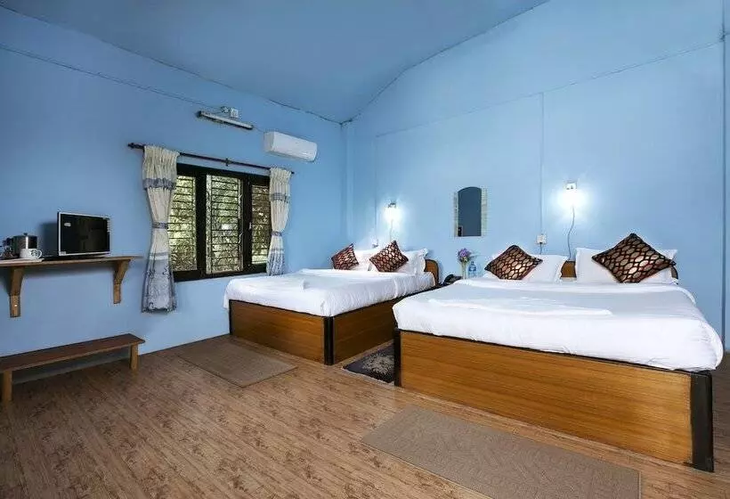 Fotos del hotel Sauraha Nana:  18