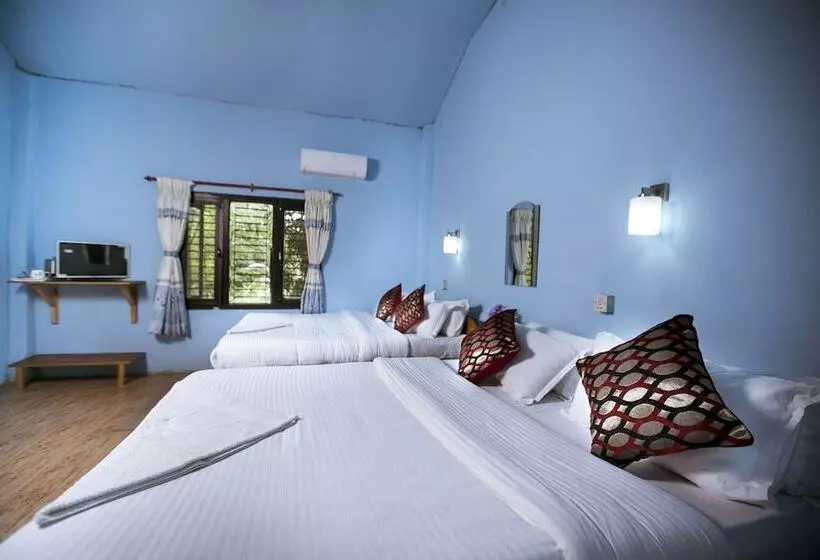 Fotos del hotel Sauraha Nana:  23