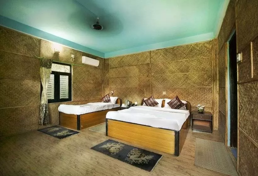 Fotos del hotel Sauraha Nana:  19