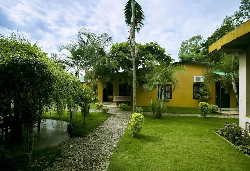 Fotos del hotel Sauraha Nana:  6