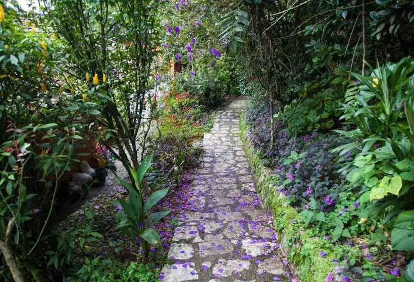 Fotos del hotel Taselotzin:  12