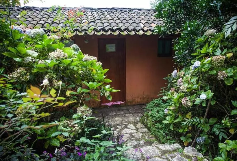 Fotos del hotel Taselotzin:  10