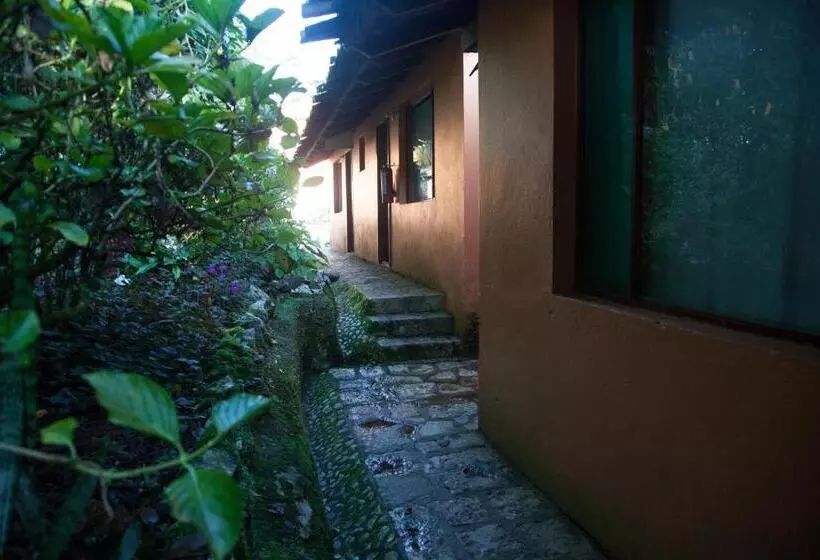 Fotos del hotel Taselotzin:  6