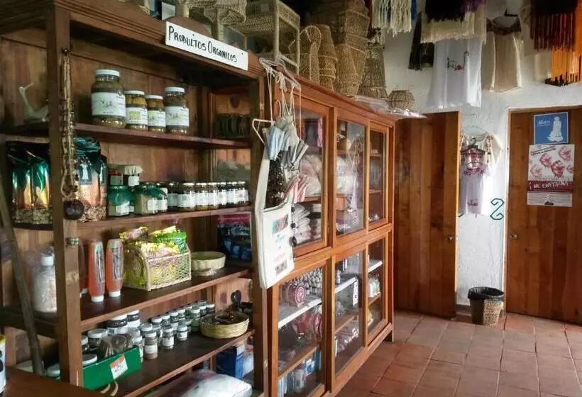 Fotos del hotel Taselotzin:  3