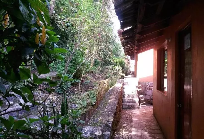 Fotos del hotel Taselotzin:  2