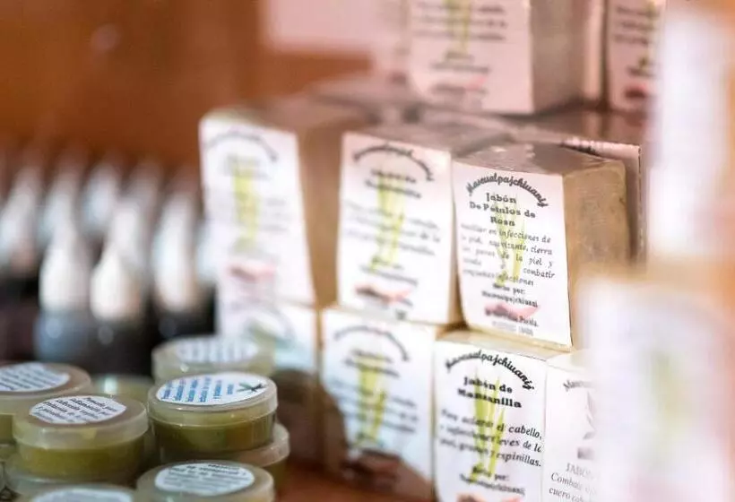 Fotos del hotel Taselotzin:  9