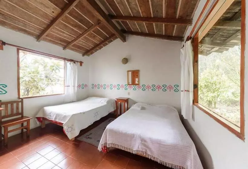 Fotos del hotel Taselotzin:  24