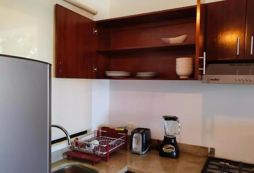 Fotos del hotel Vela S Condos Ocean Front:  18