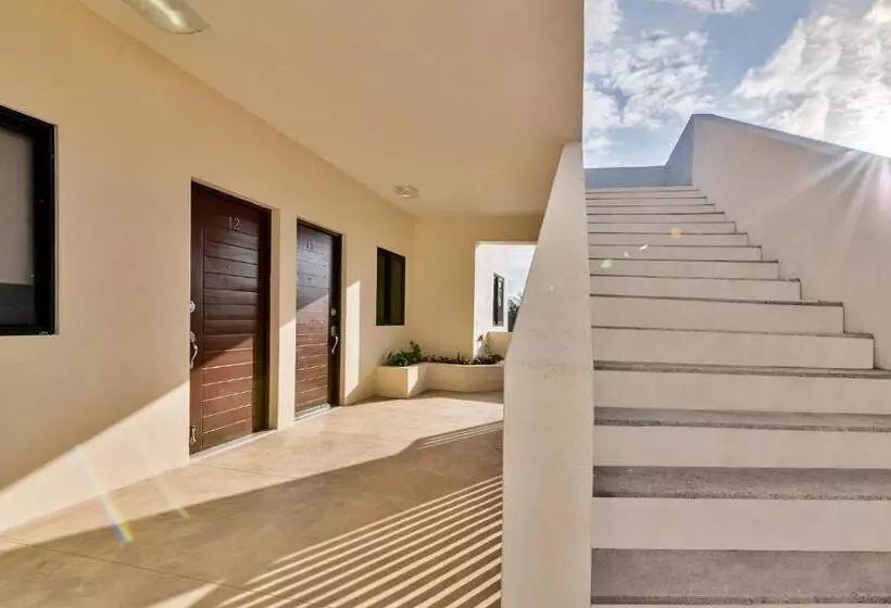 Fotos del hotel Vela S Condos Ocean Front:  13