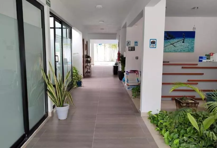 Fotos del hotel Vela S Condos Ocean Front:  5