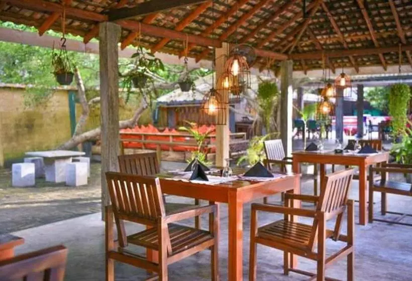 Fotos del hotel Vibration:  11