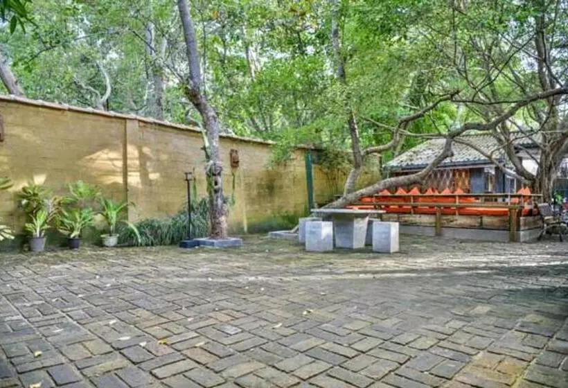 Fotos del hotel Vibration:  14