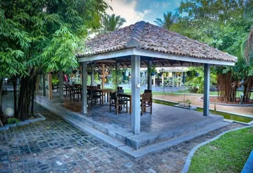 Fotos del hotel Vibration:  16