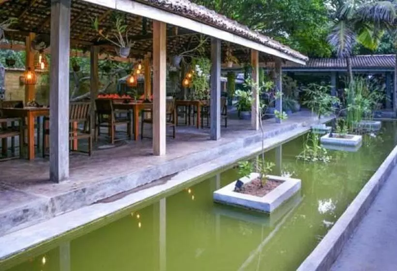 Fotos del hotel Vibration:  5